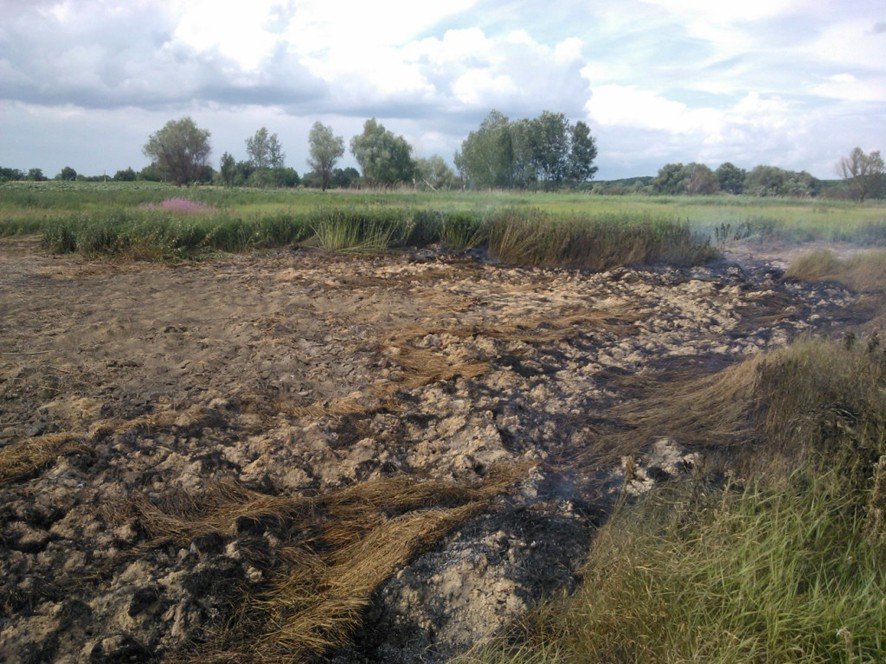 У Глобинському районі на Полтавщині горить торфовище