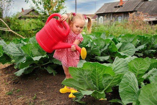 Розважаємо дітей на дачі