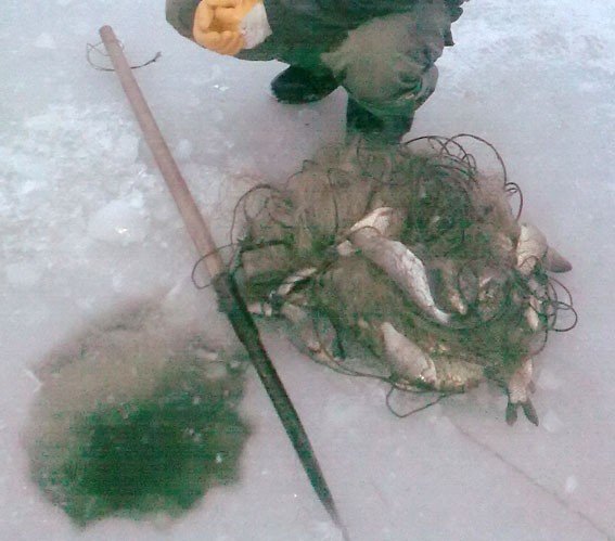 У Кременчуці затримали любителя незаконної риболовлі