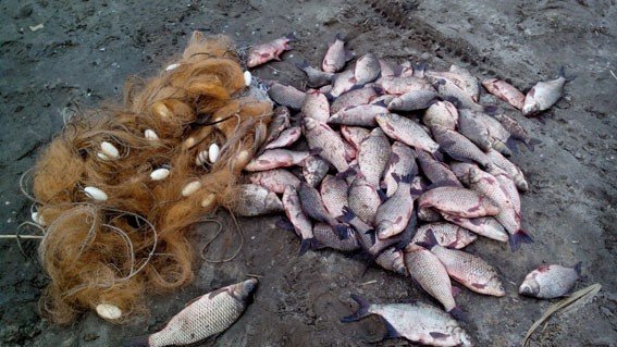 У Кременчуці троє рибалків завдали державі збитків на понад 8 тисяч