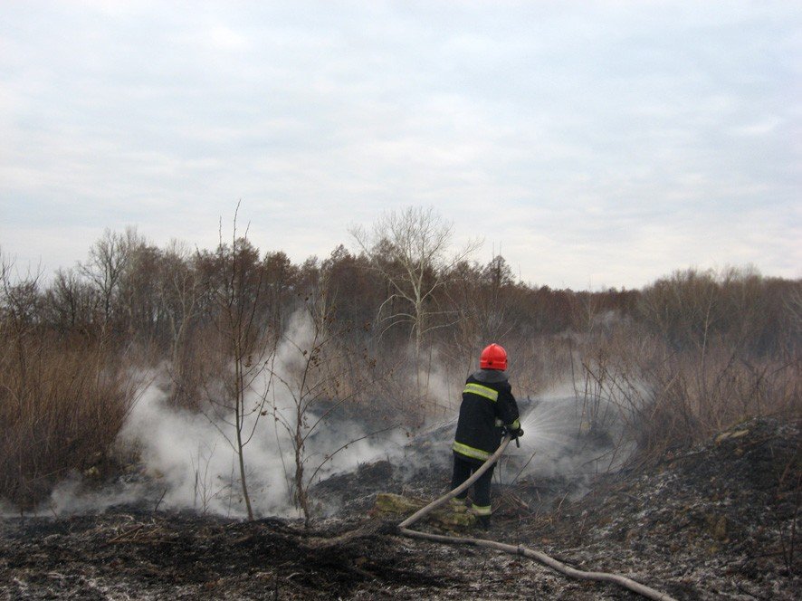 У Чутовому вогнем було знищено близько 10 га сухої рослинності