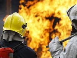На Полтавщині під час пожежі згоріли гуси і качки