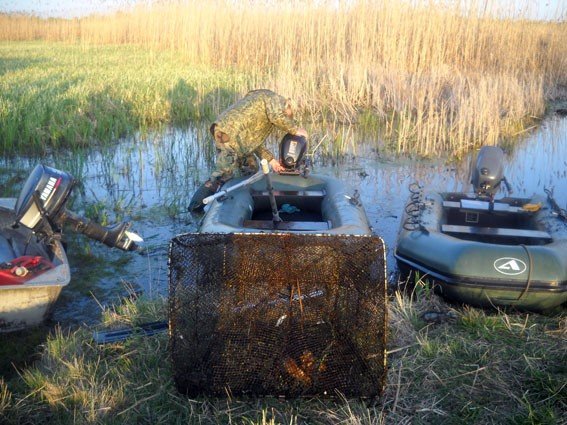 На Полтавщині спіймали чергових водних браконьєрів