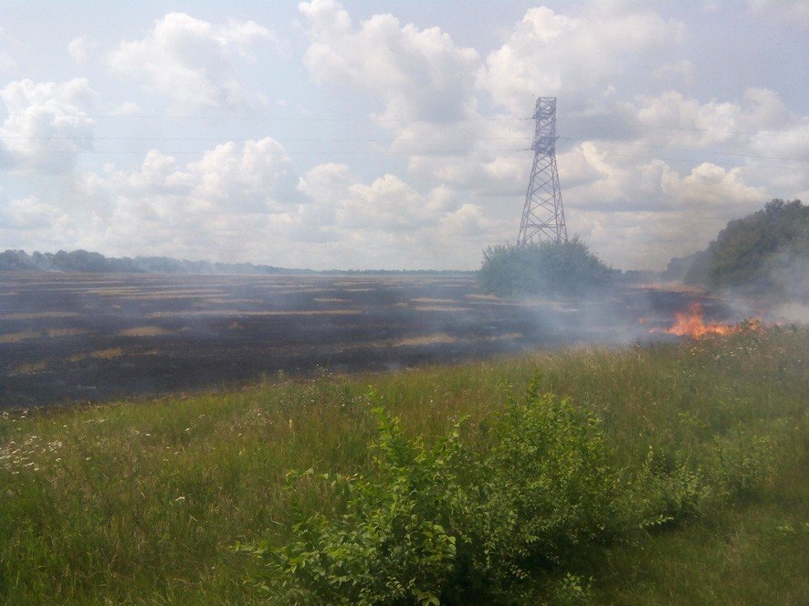 Під Полтавою згоріло поле