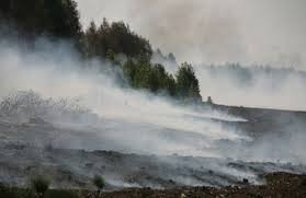 На Полтавщині палає торф на 15 гектарах