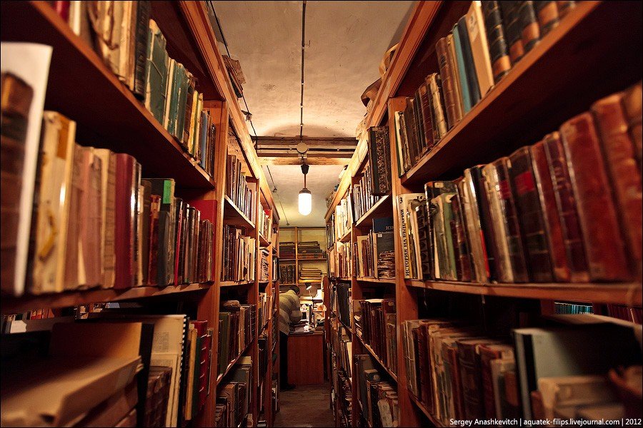 Полтавці розповіли, які читають книги та чи відвідують бібліотеки (відео)