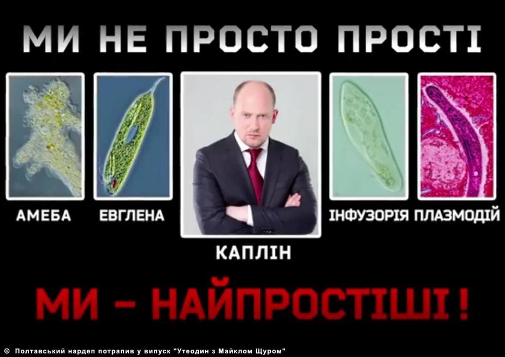 Місцеві вибори у Полтаві народна творчість (друга частина)