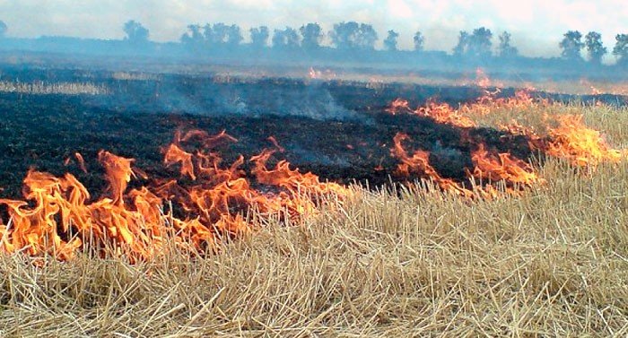 Під Полтавою згоріло поле