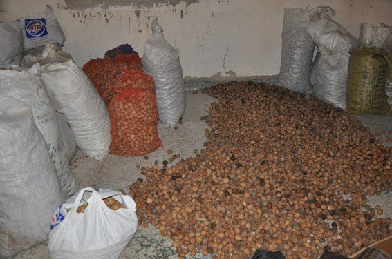У Полтаві «накрили» підпільний цех з переробки горіхів