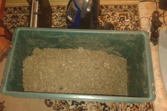 На Полтавщині чоловік тримав удома два кілограми марихуани та пневматичну гвинтівку