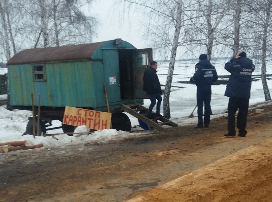 На Полтавщині спалили майже 300 туш свиней із вірусом африканської чуми