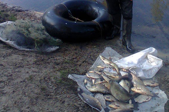 На Дніпродзержинському водосховищі браконьєр виловив 27 кілограмів риби