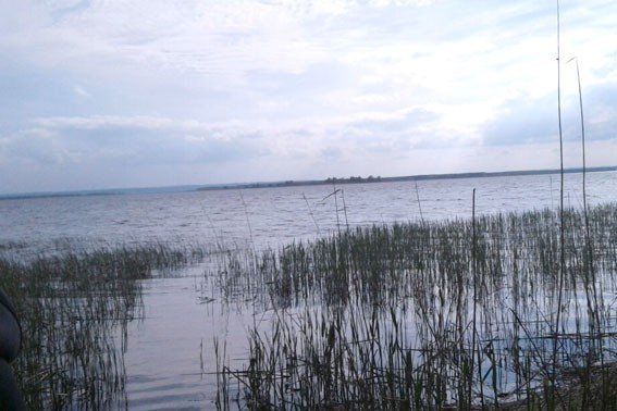 За браконьєрство на Дніпродзержинському водосховищі чоловік може отримати до трьох років