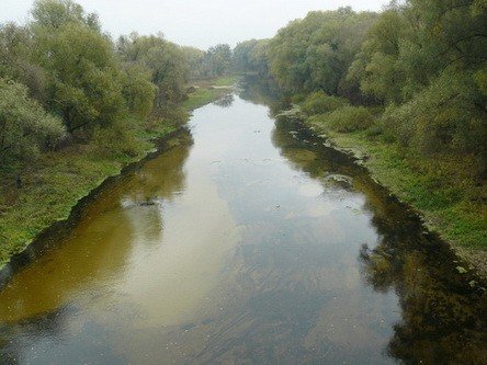 Через негоду у лубнах зійшла вода зі ставків: люди у полях збирали рибу