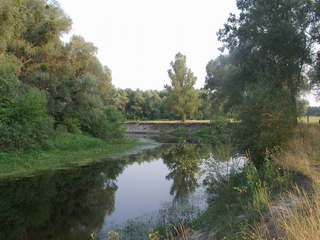 На Полтавщині розчистили затори в руслі річки Сула