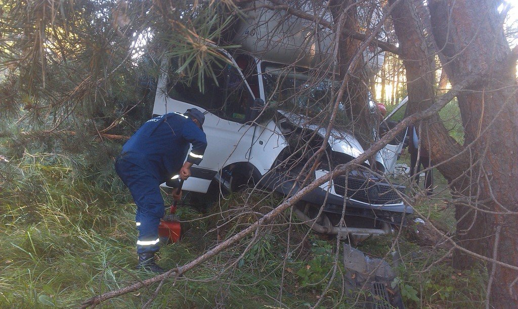 ДТП на Полтавщині: після зіткнення з деревом водія затисло у вантажівці