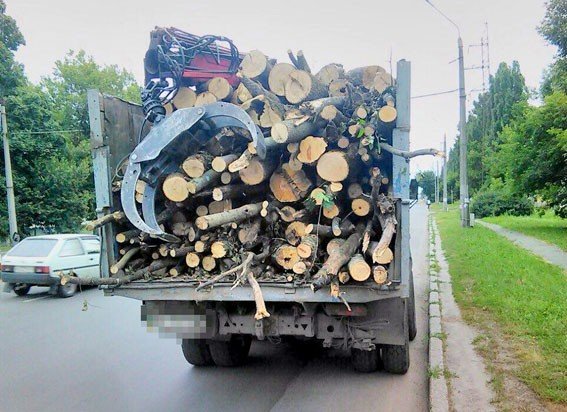 У Полтаві зупинили вантажівку із незаконною деревиною