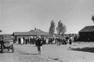 Аудіослайдшоу. Дню міста присвячується: Полтава 1943 (Продовження)