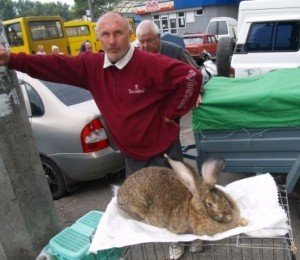 Радянський велетень важить 9 кілограм