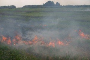 Пожежу під Полтавою гасили 15 годин