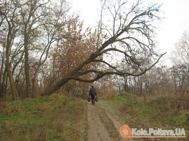 Цією стежкою ходити небезпечно