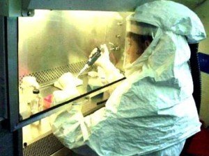 Новий вірус грипу H3N2 не передається від людини до людини