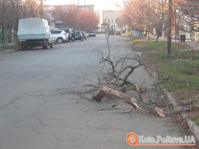 Cухе гілля валялося по вулиці Чапаєва, неподалік будинку №26