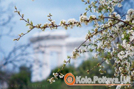 Фото з foto.mail.ru