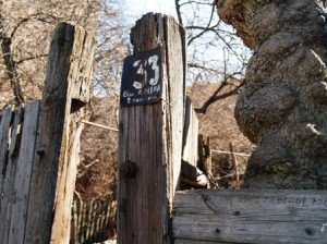 У цьому дворі пролунав постріл