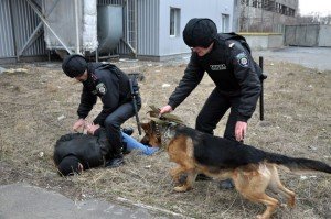 Фото з mia.pl.ua
