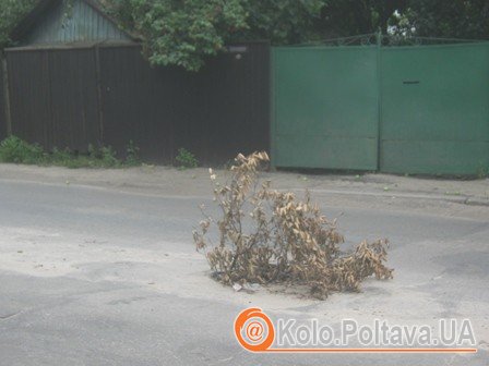 Люк знаходиться на вулиці Половка