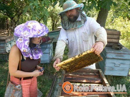 Мед у Полтаві в суботу освятять о 8-ій, а Свято меду розпочнеться о 10-ій