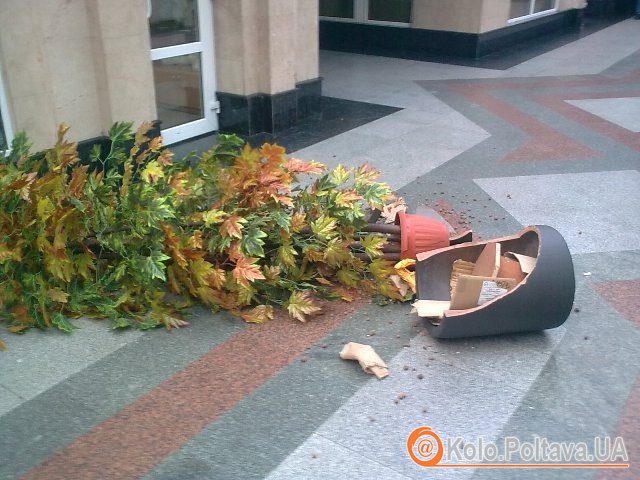 У полтавському підземному переході впало дерево