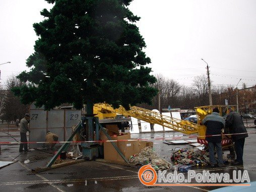 Ялинка стоїть в районі вулиці 23 вересня 