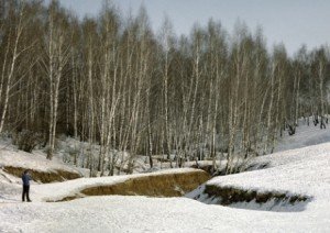 Ранкові морози будуть послаблюватися Фото з сайту eco.ria.ru