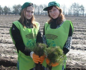 Висалджують переважно хвойні дерева та берези. Фото надане прес-службою ПОУЛМГ.