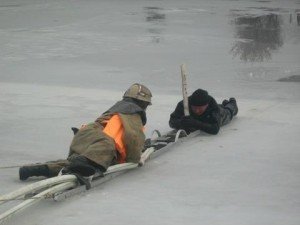 Фото з сайту provolyn.com