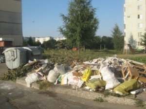 У Полтаві депутати вирішили, як слід боротися зі сміттям, а коштів на це поки що не передбачили.