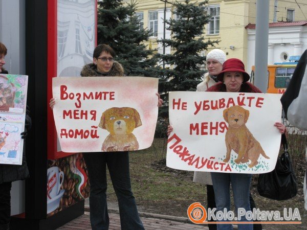 Волонтери неодноразово заперечували проти евтаназії тварин. Фото Тетяни Цирульник.