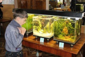 Діти захоплено роздивлялися чудернацьких рибок у акваріумах