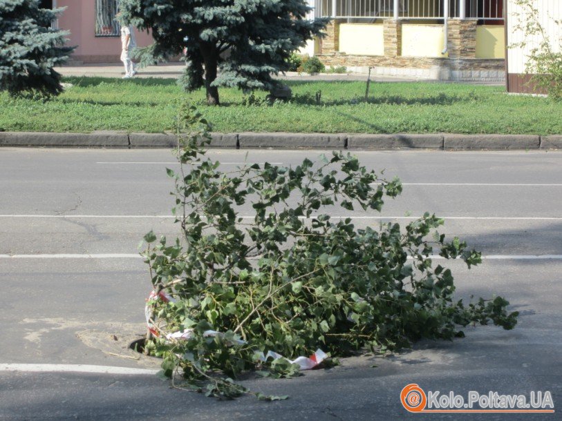 Зниклу кришку від люку по вулиці Маршала Бірюзова у Полтаві замінили гілками дерева.