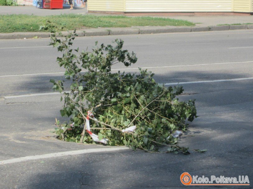 Фото Марини Клименко.