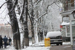 Дерева і автомобілі засніжені