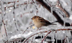 Фото з сайту vidomosti-ua.com