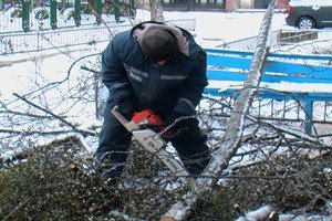 Рятувальники звільнили вхід до дитсадка від гілля (фото ТУ МНС України в Полтавській області, 3 шт.)  