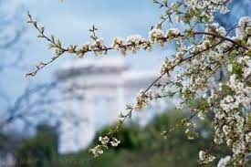 фото з сайту www.volynnews.com