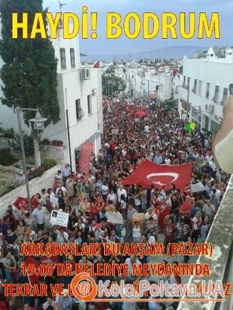 це фото-заклик вийти на акцію протесту "гуляло" в Інтернеті у Туреччині. фото надане Іриною Земляною