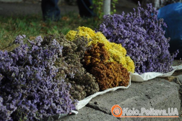 Таке різнотрав’я святять на Перший Спас. Фото Ольги Матвієнко