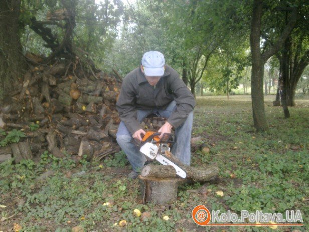 Побутова бензопила чудово підійде для розпилювання дров