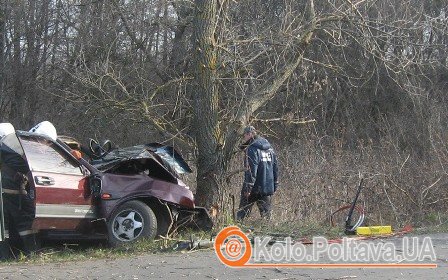 Полтавець в’їхав у дерево. Фото УДСНС Полтавщини